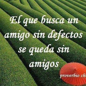 Meet your Posher, Minerva